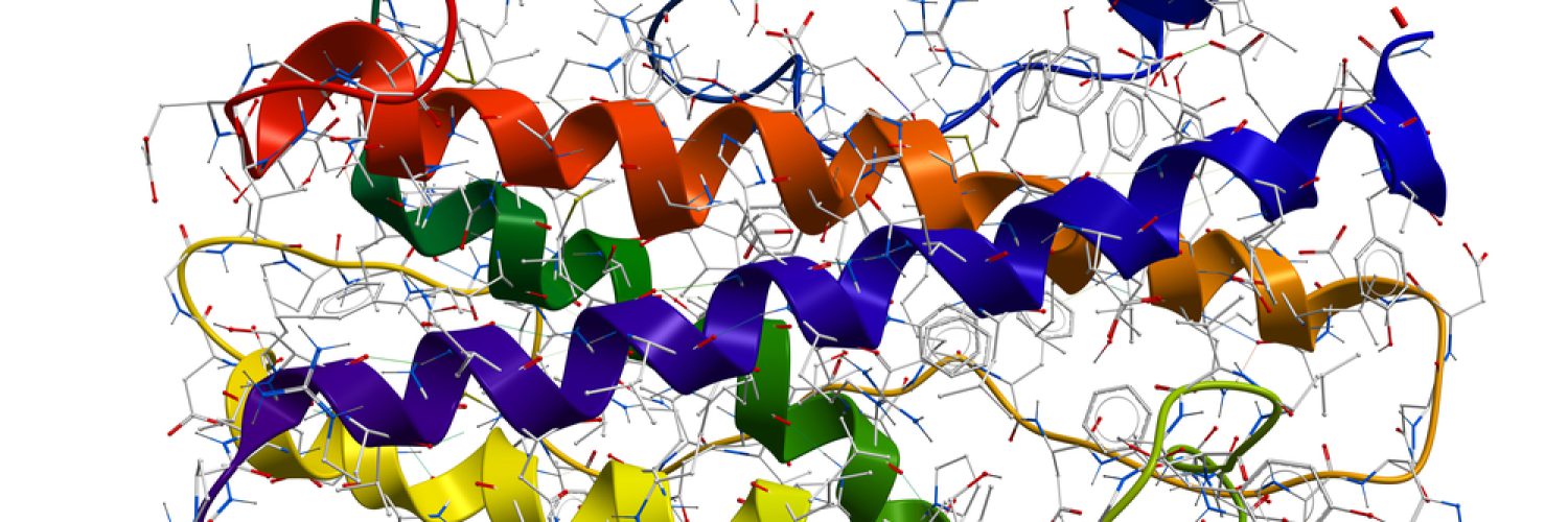 Human growth hormone somatotropin on a white background