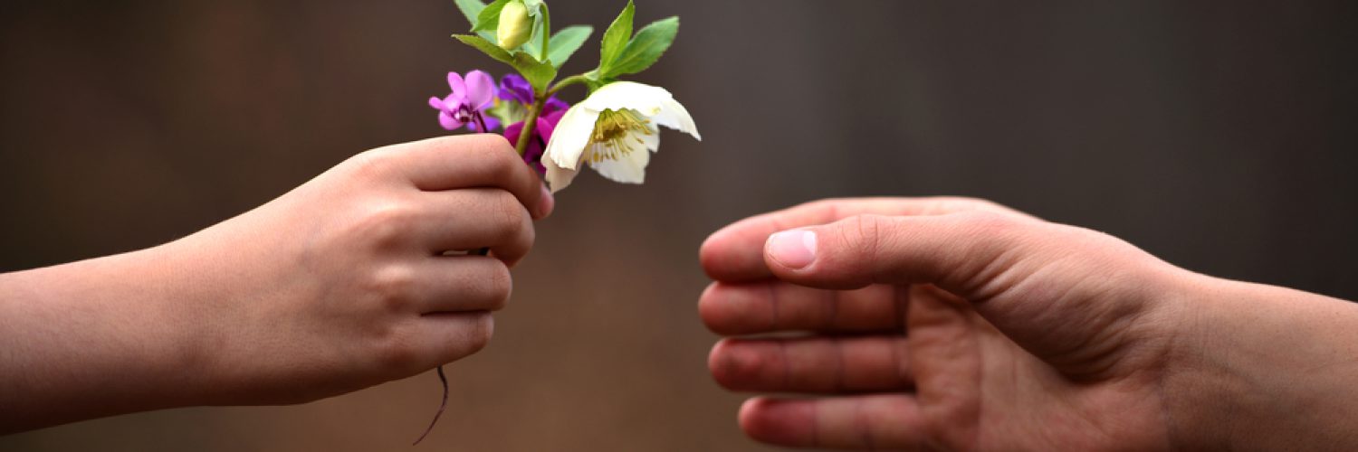 The child's hand flower gift