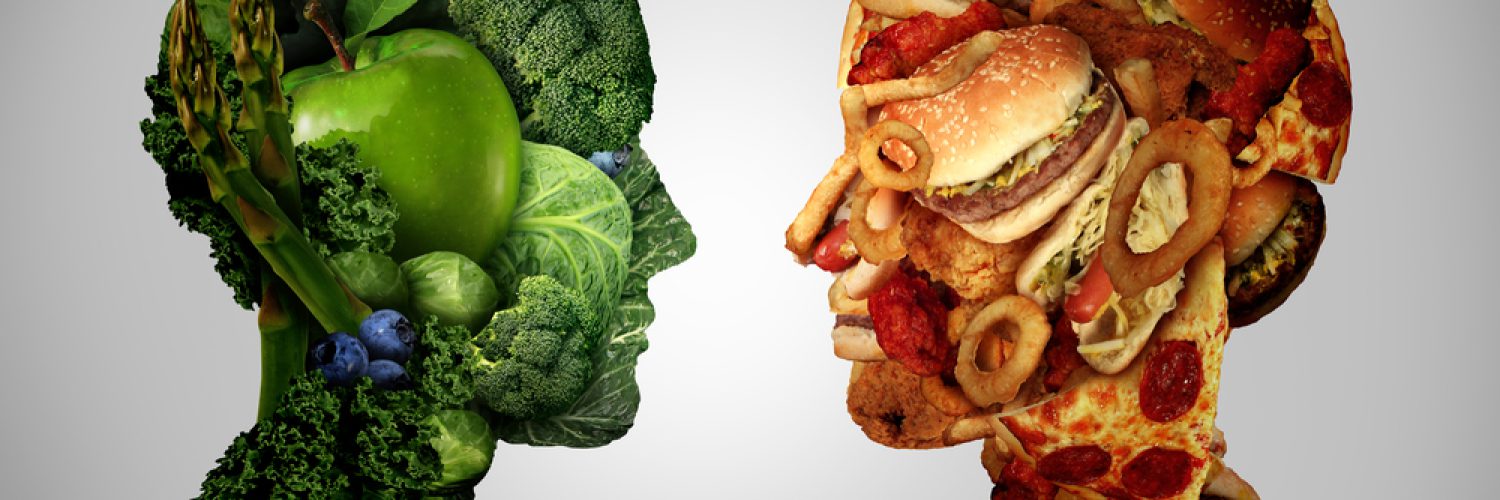 Lifestyle choice and dilemma concept as a two human faces one made of fresh green vegetables and fruit and the other head shaped with greasy fast food as hamburgers and fried foods as a symbol of nutrition facts and healthy living issues.