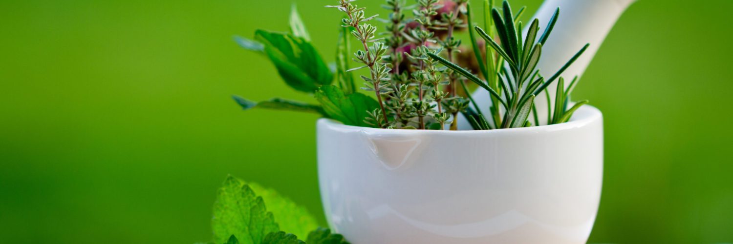 Fresh herbs in the mortar - healthy food